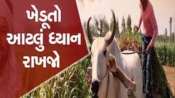 ખેતરમાં ઉભો પાક હોય તો ખાસ જાણી લેજો! અંબાલાલ પટેલની ગુજરાતના ખેડૂતોને ખાસ સલાહ