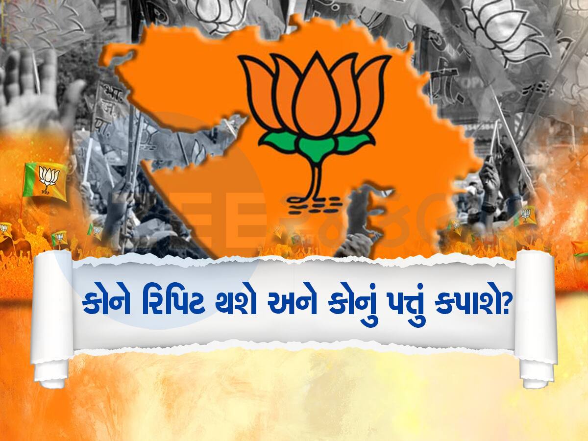 Gujarat Bjp Big Decision May Cut Many MP In Saurastra For Loksabha ...