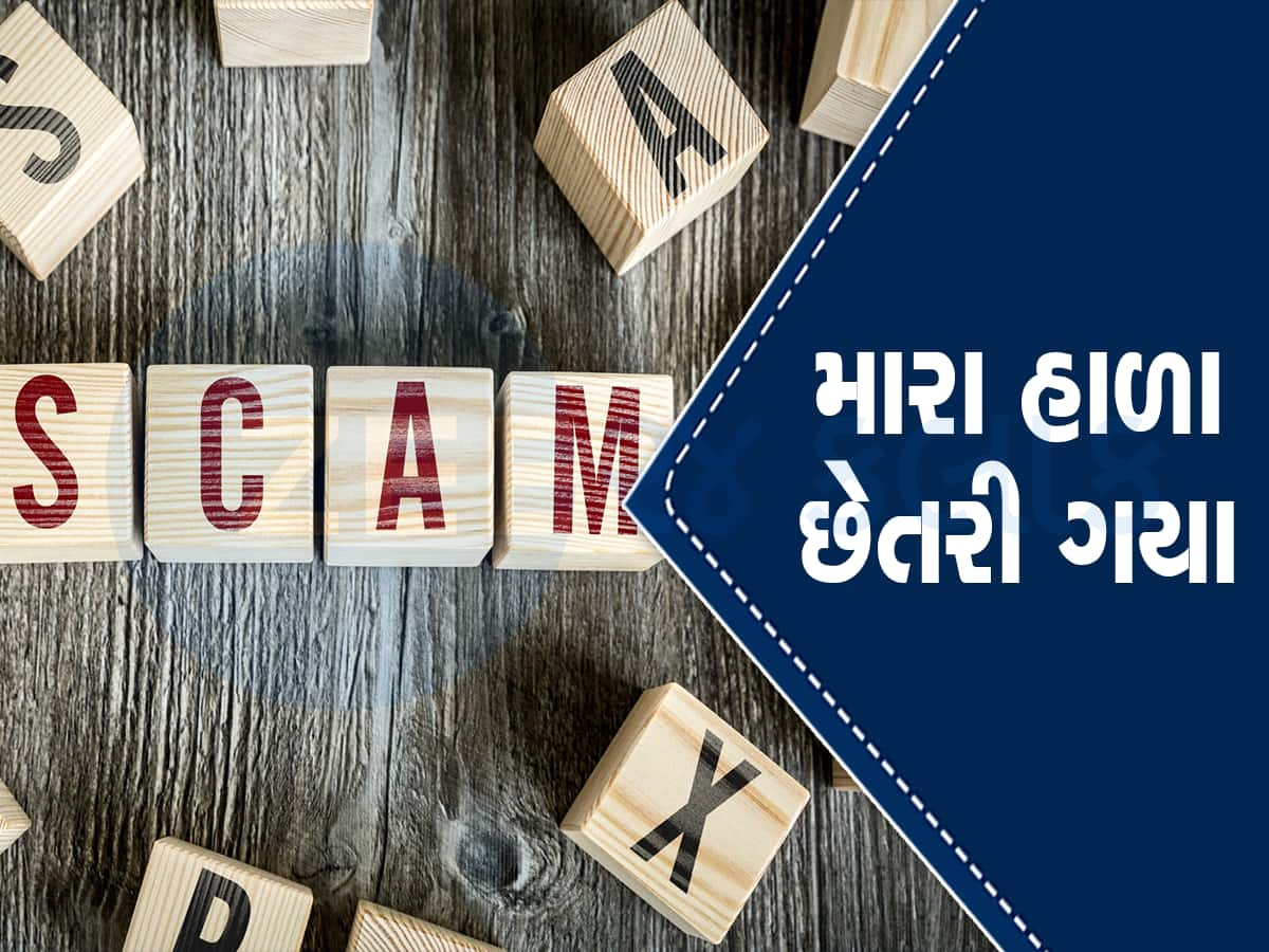 ખોટા વાયદા કરી 17 ગણા વધાર્યા શેરના ભાવ, 24 કરોડનો નફો રળી ફૂર્રરર...થઇ ગયા પ્રમોટર