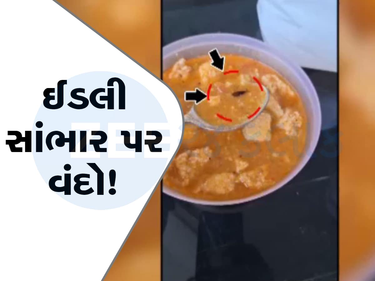 હવે આ જ જોવાનું બાકી હતું! ઈડલી સાંભારમાંથી વંદો નીકળ્યો, દુકાનના સ્ટાફે ભૂલ કબૂલી