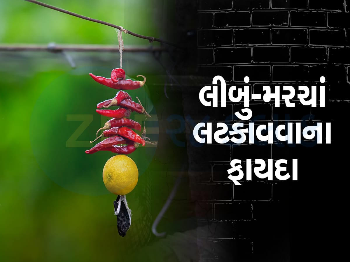 અંધશ્રદ્ધા VS વિજ્ઞાન: ક્યારેય વિચાર્યું છે કે ઘર હોય કે ઓફિસ કેમ લટકાવવામાં આવે છે લીબું-મરચાં?