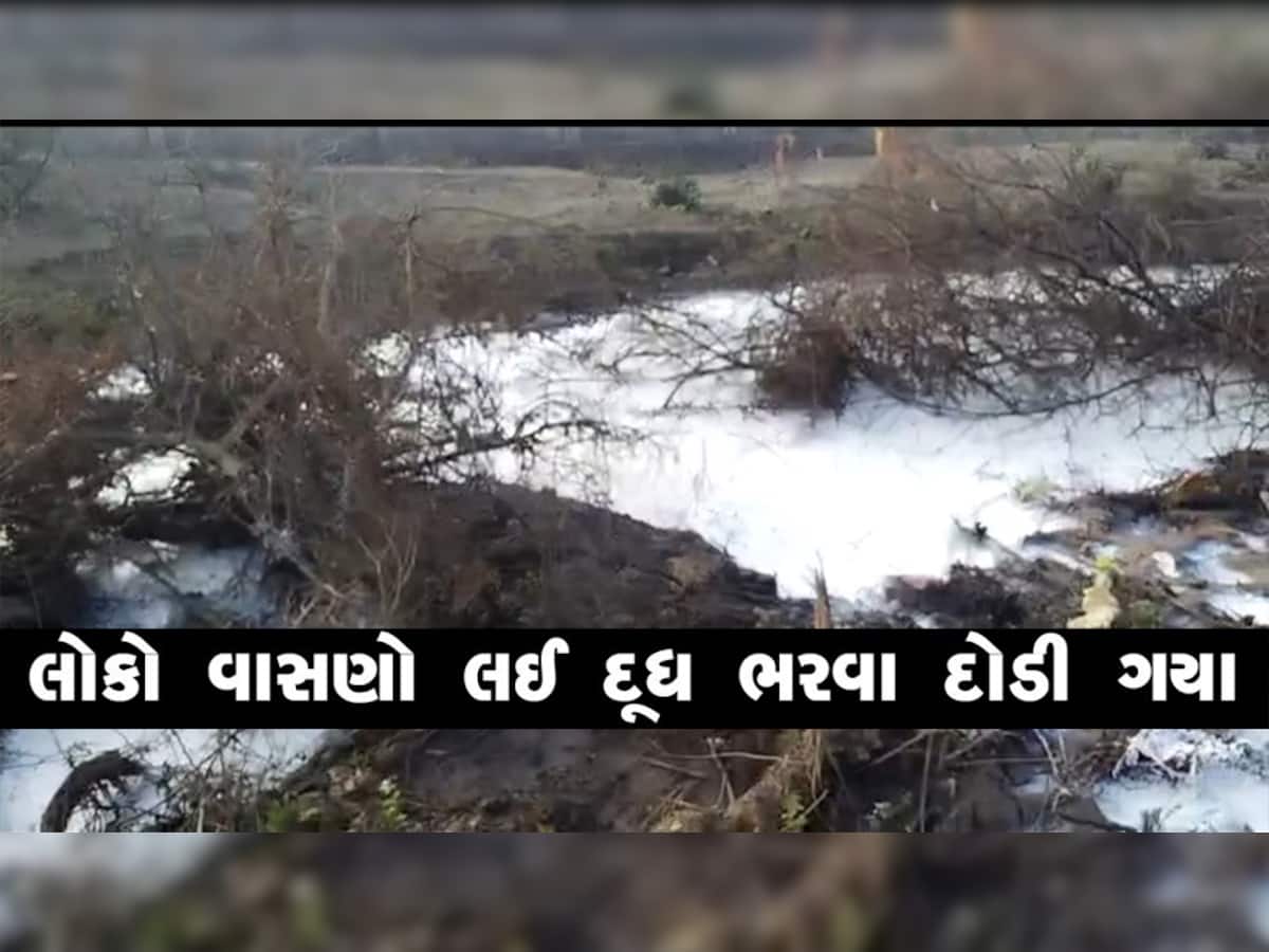 ગુજરાતમાં હાઈ-વે પર દૂધની નદીઓ વહી! મફતનું દૂધ લૂંટવાની લાહ્યમાં માનવતા નેવે મુકાઈ