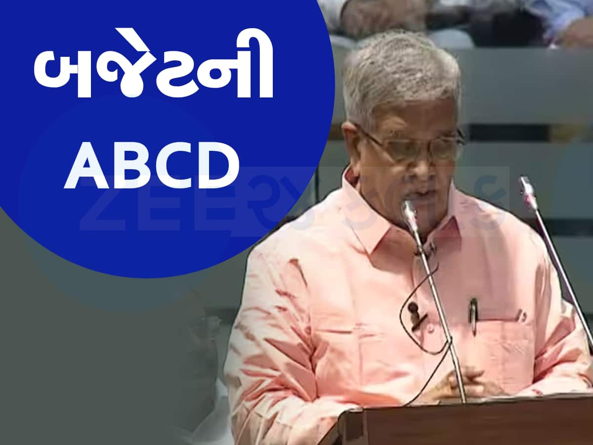 ગુજરાતનું 3 લાખ 32 હજાર 465 કરોડનું બજેટ, જાણો કયા વિભાગને કેટલા રૂપિયા ફાળવાયા