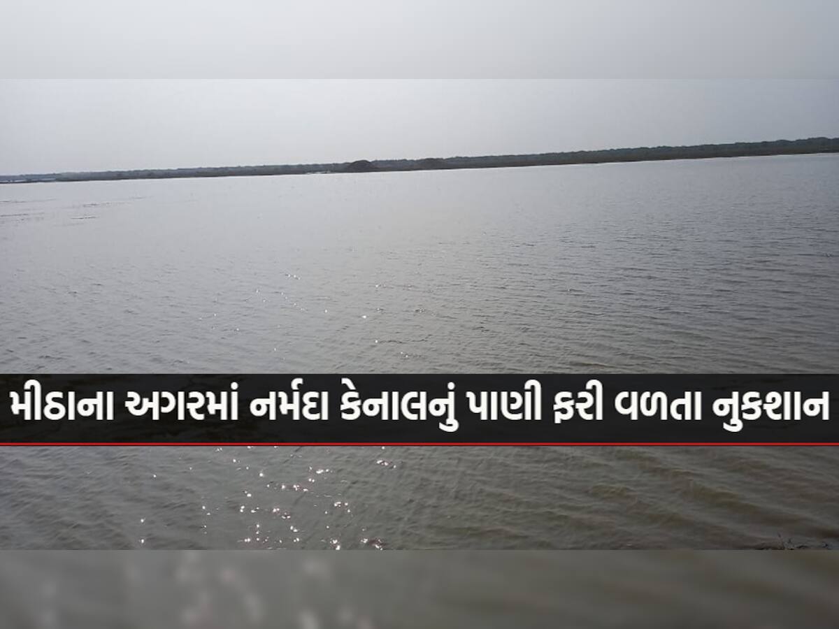 આ ગુજરાતનું કોઈ સરોવર નહીં પણ કચ્છનું નાનું રણ છે, તંત્રના પાપે નર્મદા કેનાલનું ફરી વળ્યું પાણી!