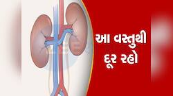 કિડનીને ગંભીર નુકસાન પહોંચાડે છે આ પાંચ વસ્તુ, ભોજનમાં સામેલ કરવાનું ટાળો