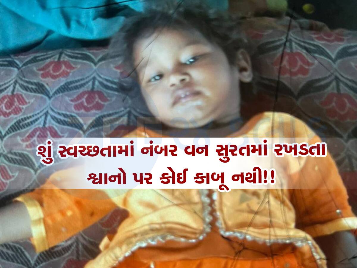 સુરતનું તંત્ર રખડતા શ્વાનોને કાબૂ કરી શક્તું નથી! સુરતમાં રખડતા શ્વાને બાળકીને ફાડી ખાધી