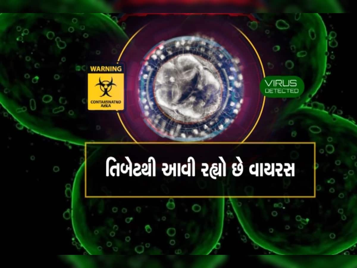 વધુ એક બીમારીનો ખતરો! તિબેટમાં ગ્લેશિયરમાંથી કોરોનાથી પણ ખતરનાક વાયરસ મળ્યા