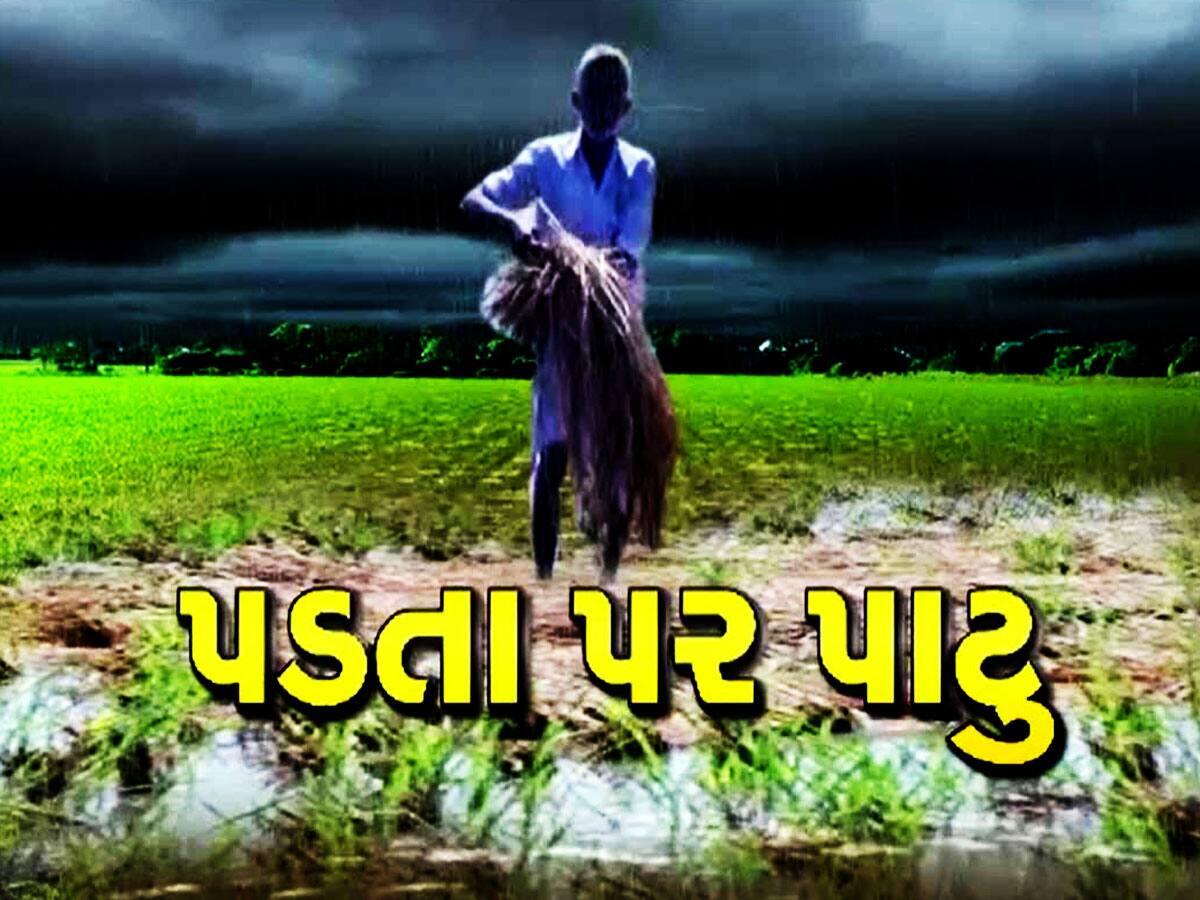 ગુજરાતના ખેડૂતોનું વીજળીનું સપનું રોળાયું, સરકારના જવાબે ચિંતામાં કર્યો વધારો