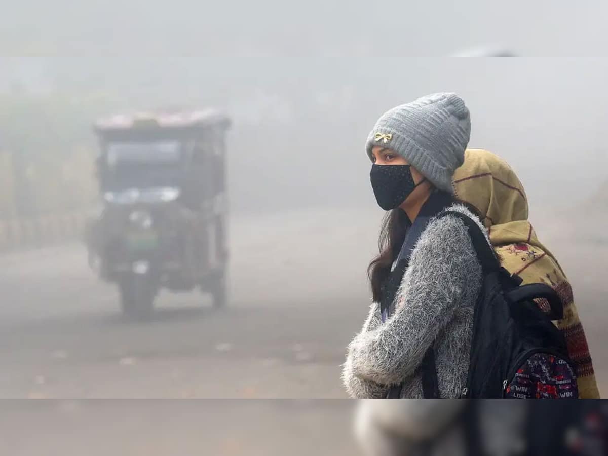 Weather Forecast: પિક્ચર અભી બાકી હૈ...છેતરામણું છે હવામાન! ઠંડી હાલત ખરાબ કરશે, જાણો IMD એ શું કરી છે આગાહી