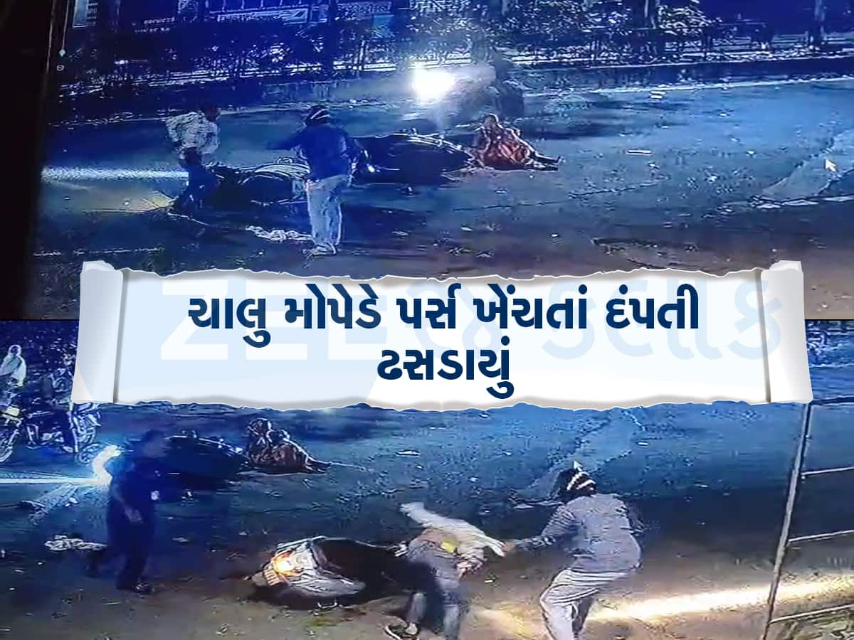 કાકાની બહાદુરી : ચાલુ મોપેડમાં પર્સ ચોરવાનો પ્રયાસ કરનાર ચોરને બરાબરનો ઢીબેડ્યો, 1 મિનિટમાં મોપેડ છોડી ભાગ્યો ચોર