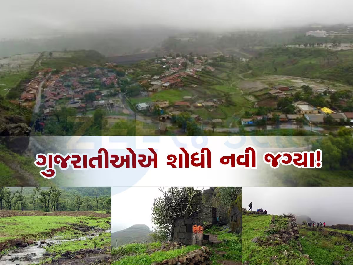 આબુ-દમણના આંટા મારવાની જગ્યાએ ગુજરાતીઓ હવે અહીં જવા કરે છે પડાપડી! જાણો એવું તે શું છે ત્યાં આબુ-દમણના આંટા મારવાની જગ્યાએ ગુજરાતીઓ હવે અહીં જવા કરે છે પડાપડી! જાણો એવું તે શું છે ત્યાં