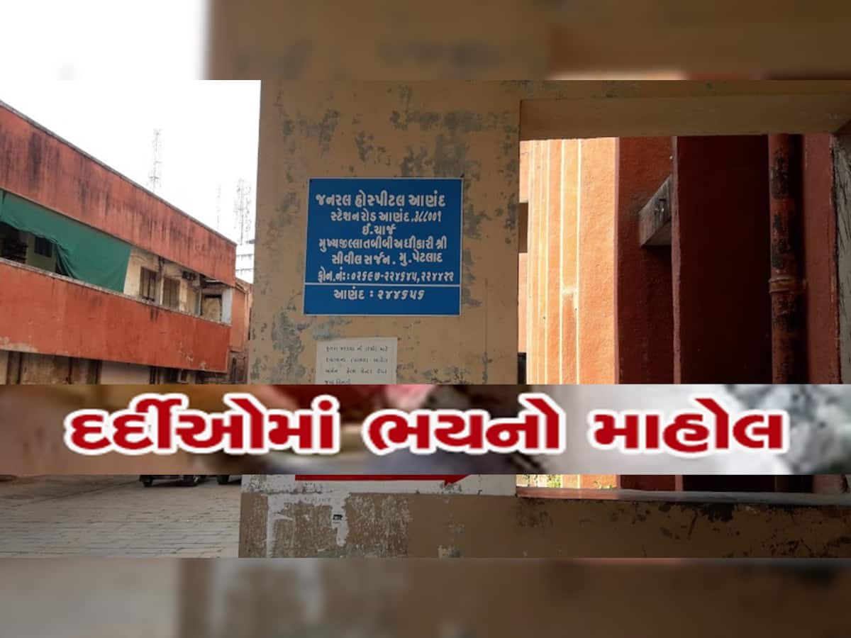 ગુજરાતમાં દર્દીનો ઊંદરોએ કોતરી ખાદ્યો પગ; આરોગ્ય મંત્રી જુઓ સરકારી હોસ્પિટલમાં શું ચાલે છે?