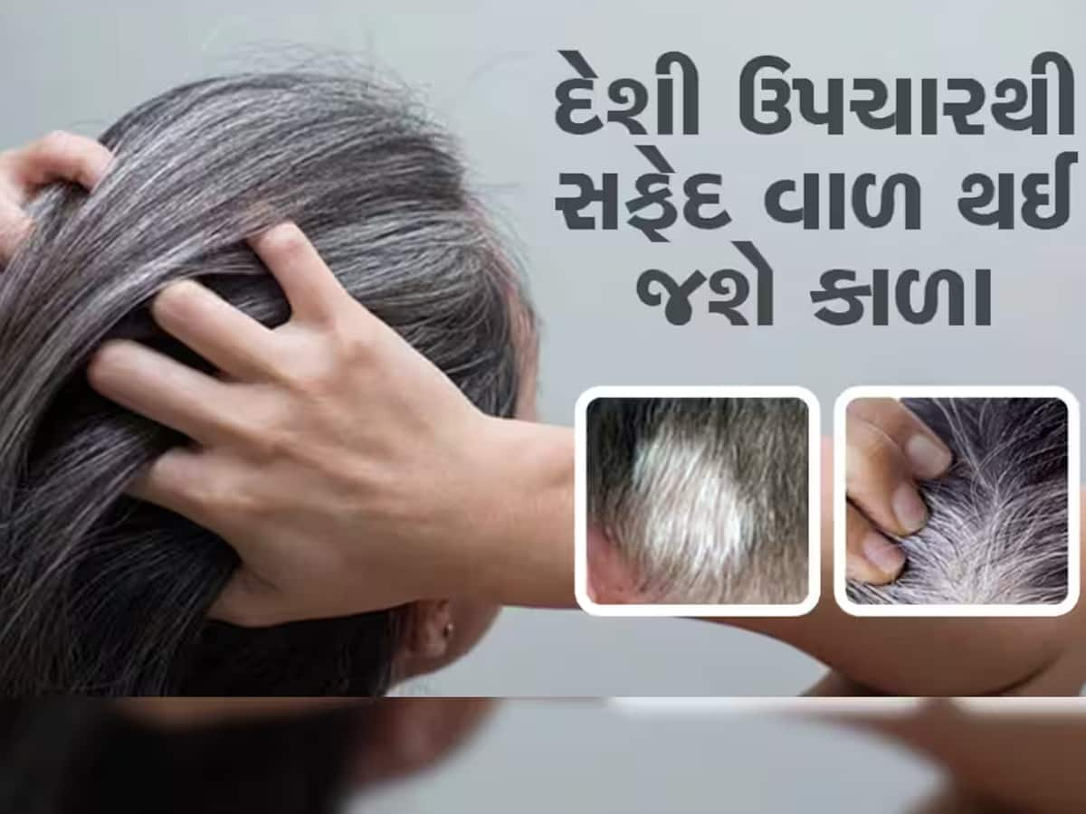 જો જવાનીમાં જ આવી ગયા હોય ધોળા તો અપનાવો દેશી ઉપચાય, કાળા ભમ્મર થઇ જશે વાળ