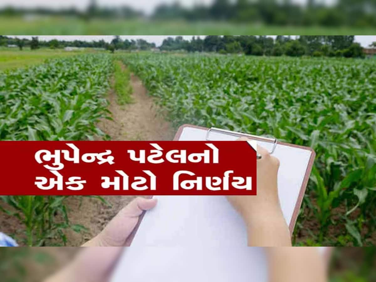 ગુજરાત સરકારનો મોટો નિર્ણય; જૂની શરતની જમીનમાં તબદિલી કરવા માટે નિર્ણય લીધો
