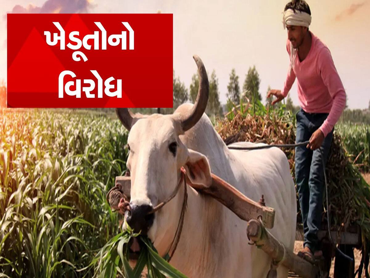 Farmers Protest : સરકાર સામે આરપારની લડાઈમાં ગુજરાતમાં ખેડૂતો પણ જોડાશે, રાજ્યમાં કરશે રસ્તા રોકો આંદોલન