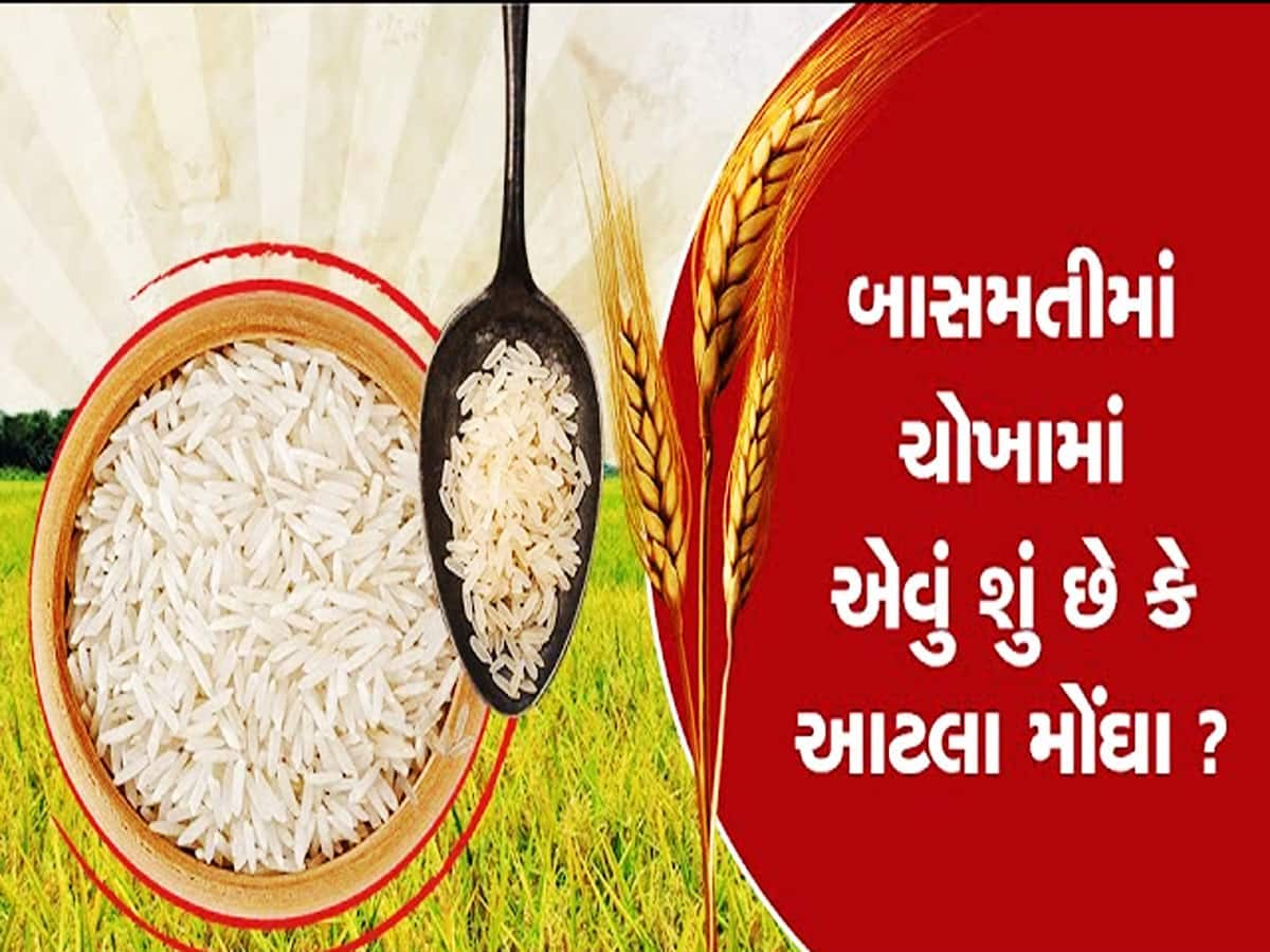 આ ભારતીય ચોખાની છે દુનિયા દીવાની, વિશ્વના શ્રેષ્ઠ ચોખાની યાદીમાં છે અવ્વલ નંબર