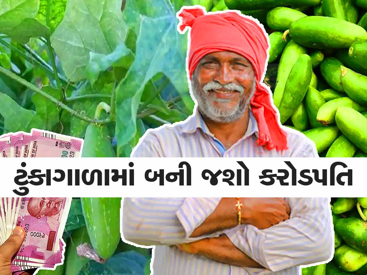 Agriculture Idea: અક્ષયપાત્ર જેવી છે આ પાકની ખેતી, એકવાર ઉગાડશો તો વર્ષો સુધી મળશે નફો, સ્વાસ્થ્ય માટે પણ ફાયદાકારક