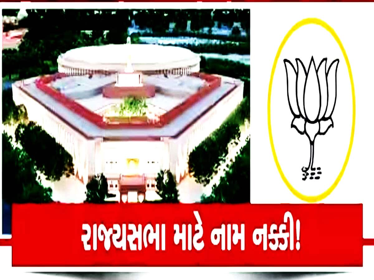 ગુજરાતમાં રાજ્યસભાના ઉમેદવારો નક્કી કરવા દિલ્લીમાં દોડ પકડ! કોણ બનશે ભાજપનું 'વેલેન્ટાઈન'?