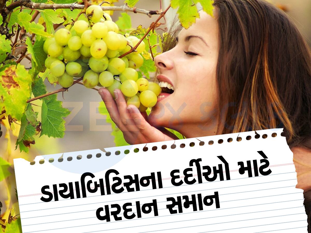 Benefits of Eating Grapes: દ્રાક્ષના છે જબરદસ્ત ફાયદા, ખરતા વાળ અને વજન ઘટાડવામાં કરે છે મદદ 
