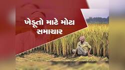 સરકારની એક જાહેરાતથી ડુંગળી પકવતા ખેડૂતોને થઈ ગયા ઘી-કેળા, ખુશખબર આવી