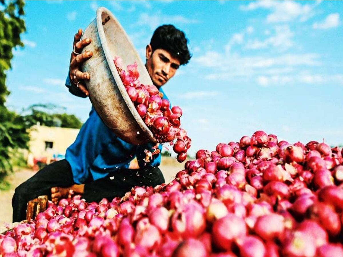 ગુજરાતના ખેડૂતોને ઘી-કેળા! વર્ષની શરૂઆતમાં જ ભારત સરકારે લીધો મોટો નિર્ણય