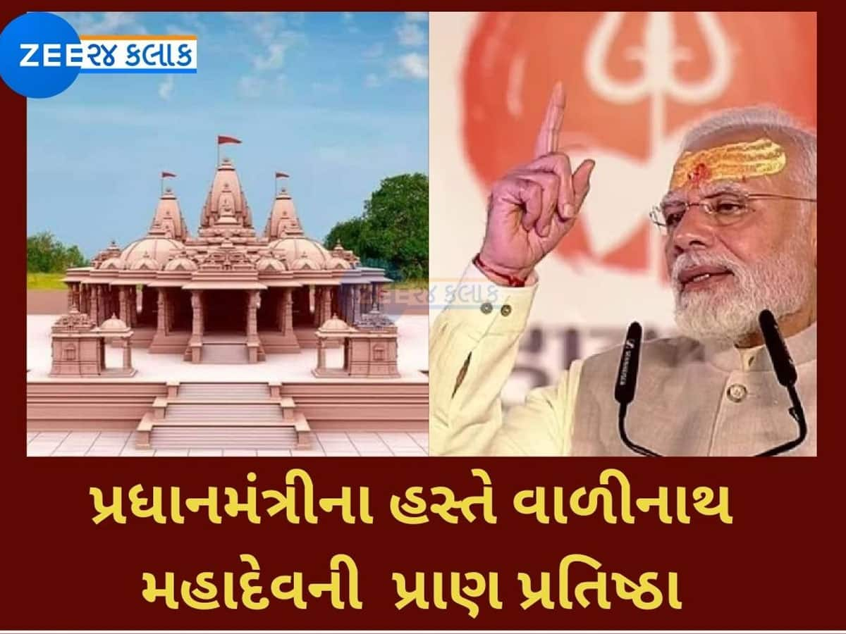 માલધારી સમાજમાં વાળીનાથ ધામનું આટલું મહત્વ કેમ છે, બીમાર પશુઓને ટોકરી મંતરાવવાનો શું છે ભેદ, જાણો ઈતિહાસ