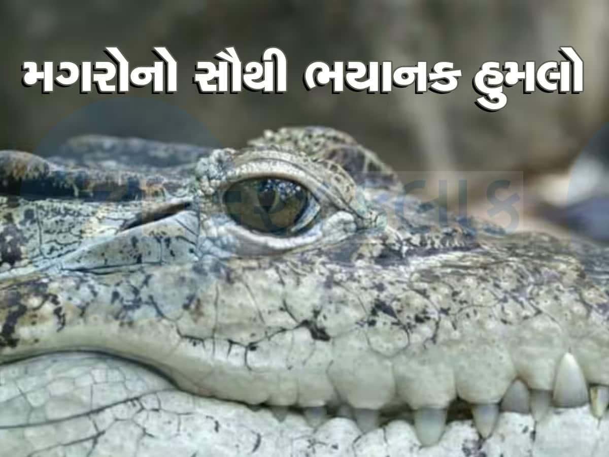 એક જ રાતમાં 500 જાપાની સૈનિકોને જીવતા ખાઈ ગયા હતો મગરો, સૌથી ભયંકર હુમલો 