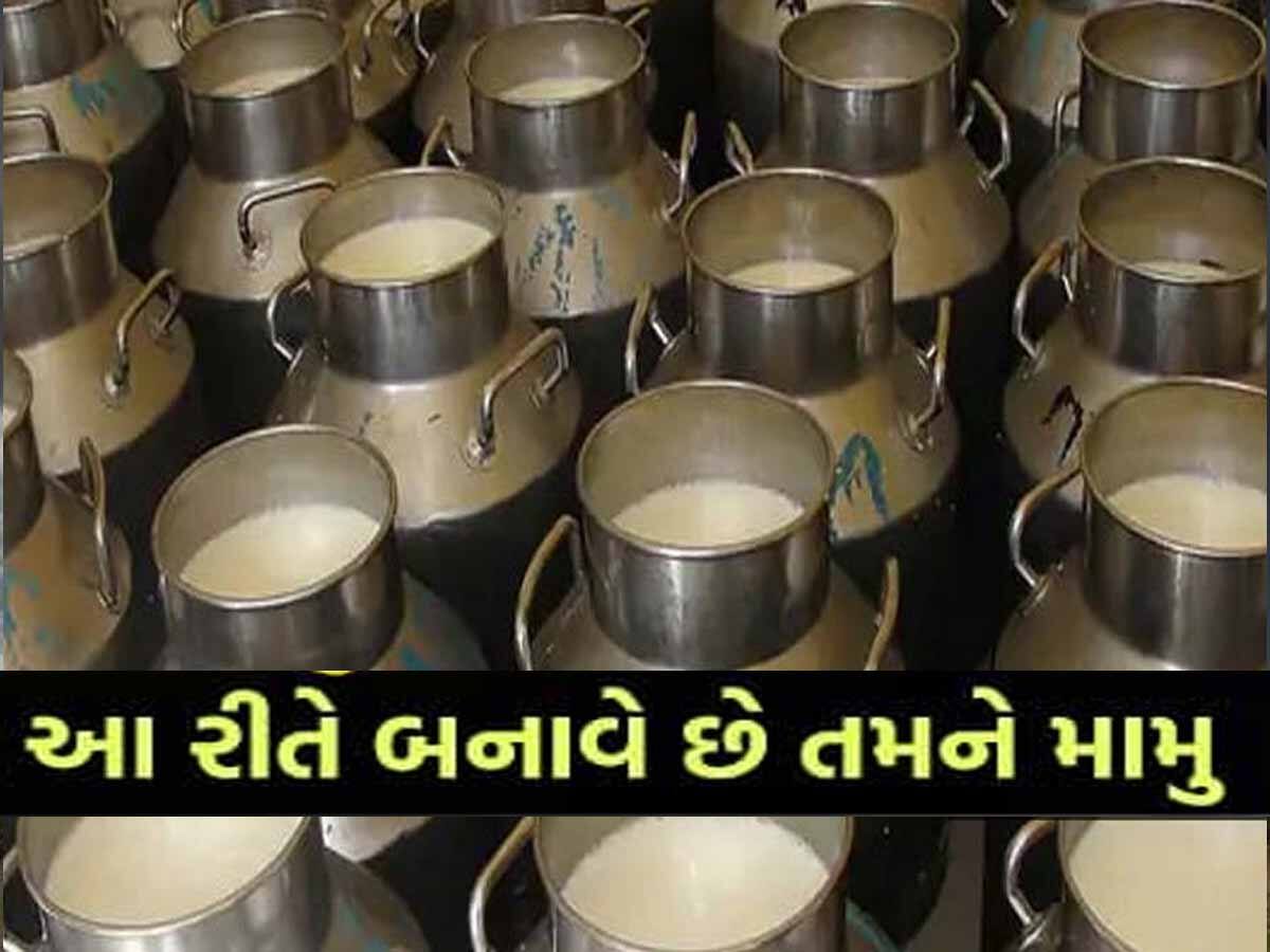 ઓ બાપ રે! દૂઘના ટેન્કરમાંથી સેમ્પલ લીધું તો હલી ગયું તંત્ર, આ ડેરીનું 10 હજાર લીટર દૂધ ઢોળી દીધું