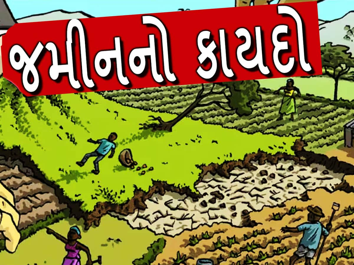 Agriculture News: જમીન લેતા પહેલાં જાણી લેજો આ કાયદો, લિમિટથી વધુ ખેતીલાયક જમીન હશે તો જવું પડશે જેલ