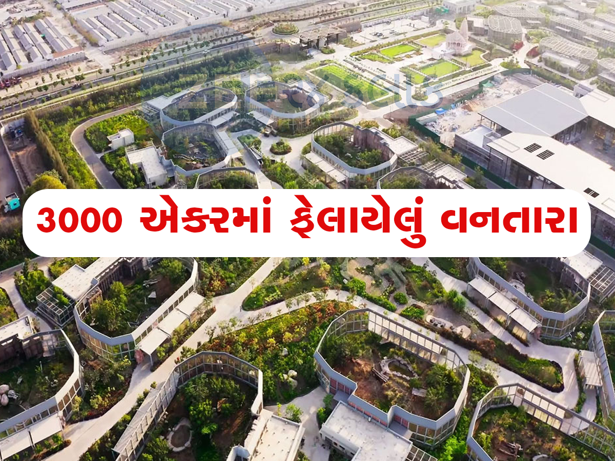 Onetera Zamnagar ananat ambani vantara become worlds biggest zoo at jamnagar reliance