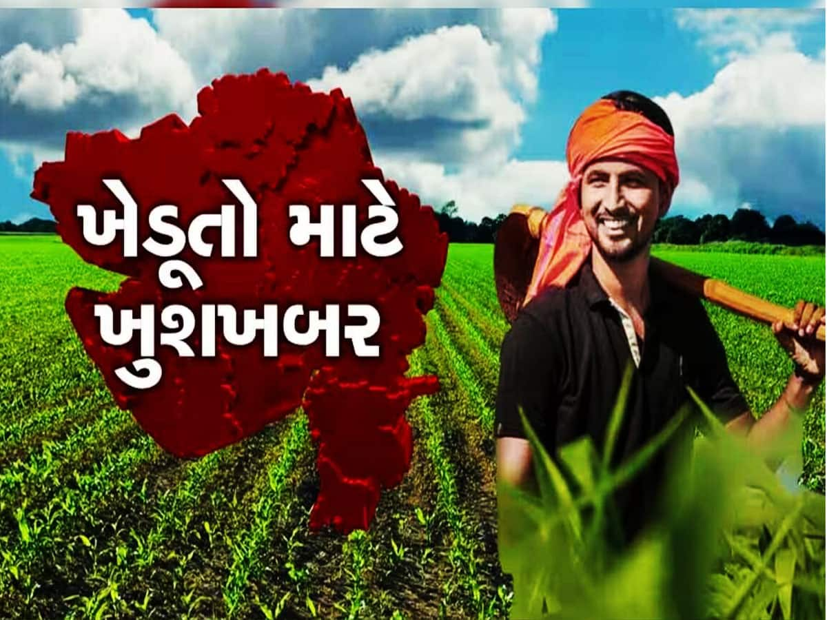 ગુજરાતના ખેડૂતોને અપાય છે 5 લાખની સહાય, સરકારે ખર્ચ્યા 32 કરોડ, તમે લાભ લીધો?