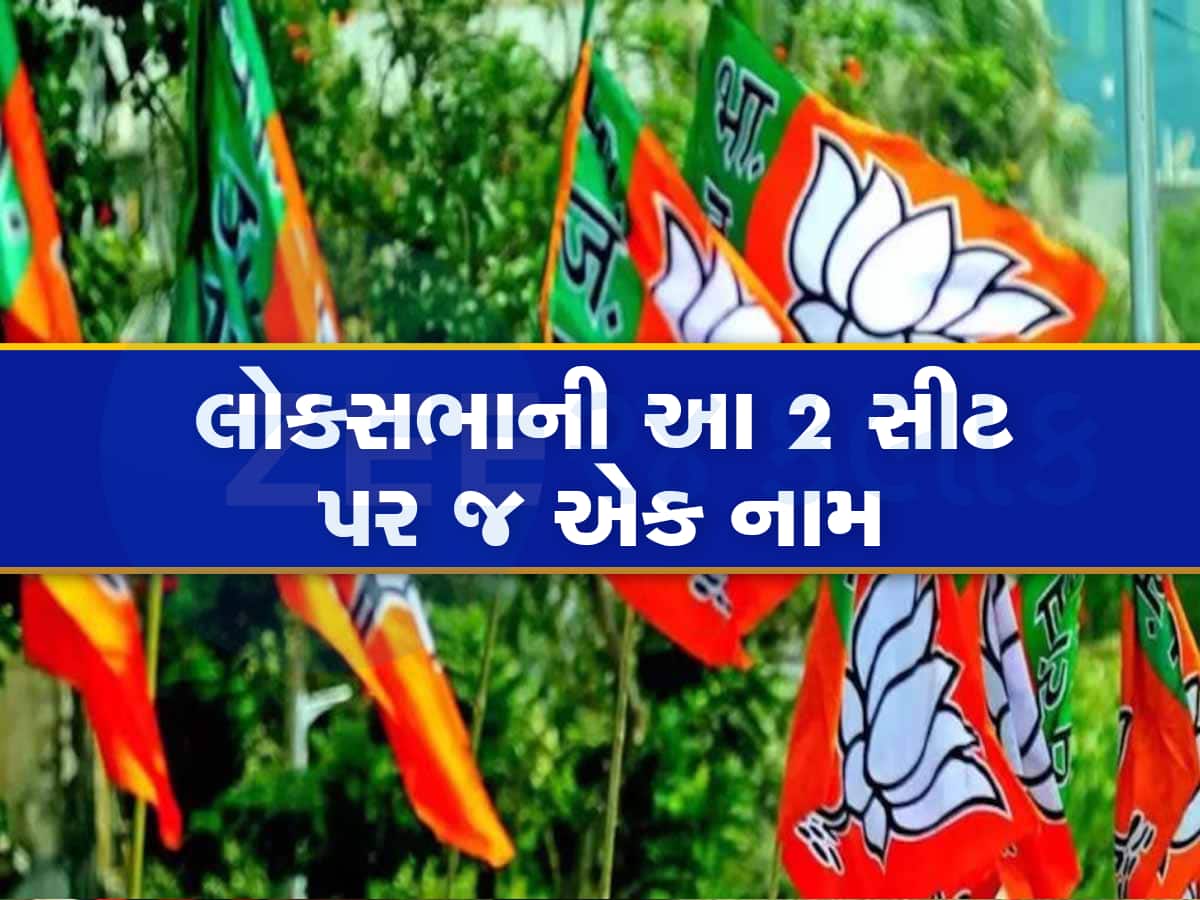 Loksabha Election 2024: ગુજરાતમાં ભાજપના આ મૂરતિયા લાઈનમાં: રંગેચંગે જાન નીકળશે કે રહી જશે વાંઢા!