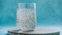 Chia Seeds Water: આ 5 તકલીફ હોય તે પીવે ચિયા સીડ્સનું પાણી તો રોગ દવા વિના થાય દુર