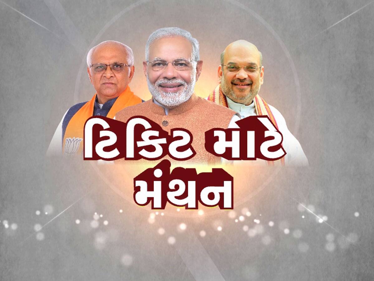 ભાજપનો મોટો નિર્ણય : ધારાસભ્યોને નહિ લડાવાય લોકસભા, તો કયા સમાજના નેતાને મળશે ટિકિટ એ થઈ ગયુ નક્કી