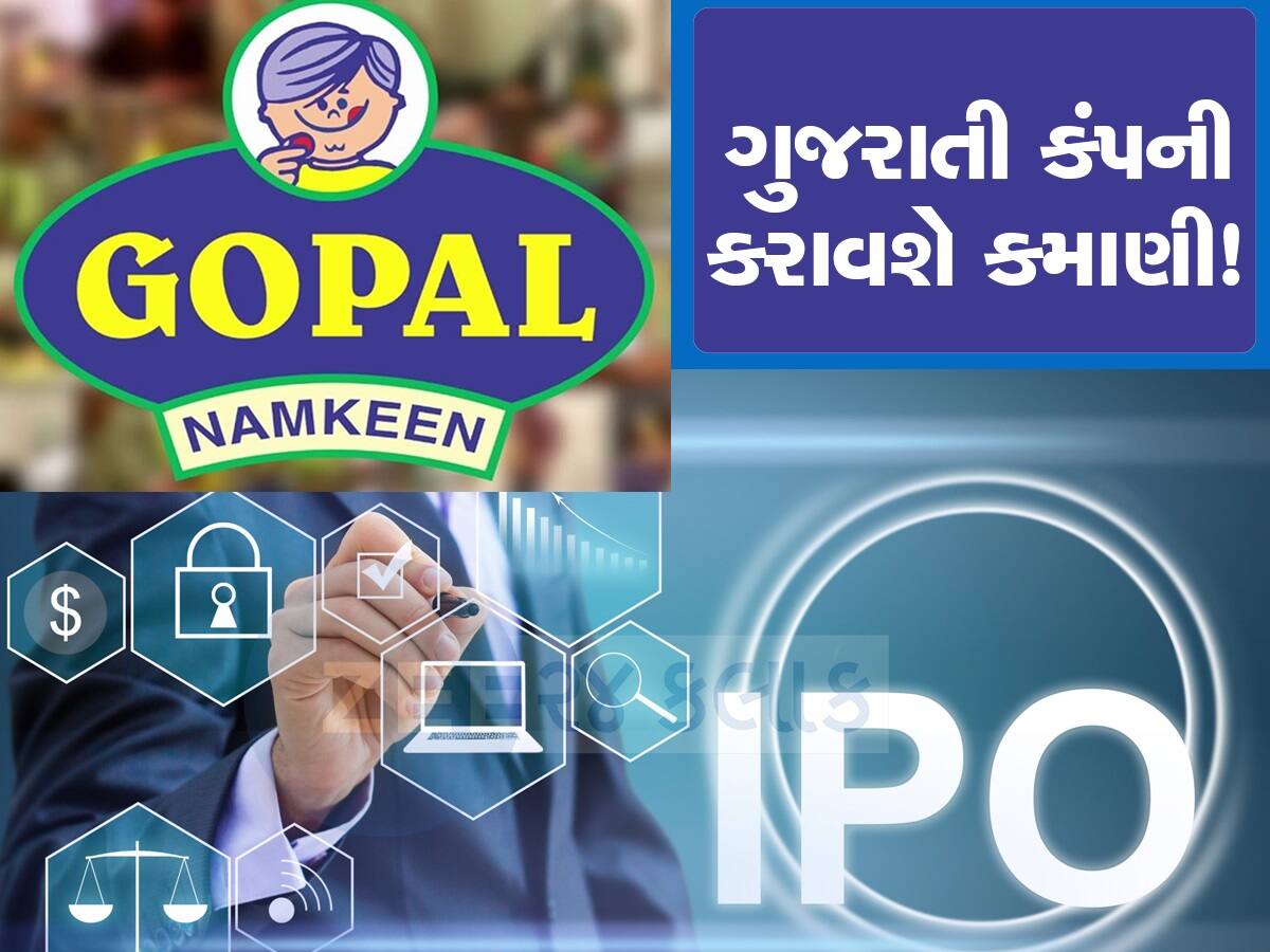 Gopal Snacks: ગુજરાતની નમકીન બનાવતી કંપનીનો આવી રહ્યો છે IPO,જાણો પ્રાઇઝ બેન્ડ અને GMP
