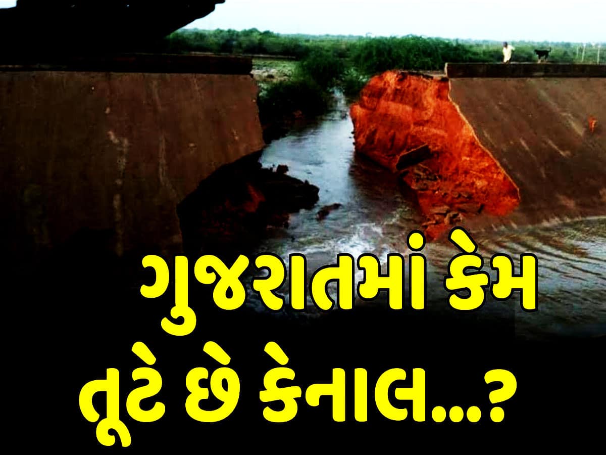 ગુજરાતની ખેડૂતપ્રેમી ભાજપ સરકારે કહ્યું 'ખેડૂતોના કારણે 219 વાર તૂટી છે નર્મદા કેનાલ'