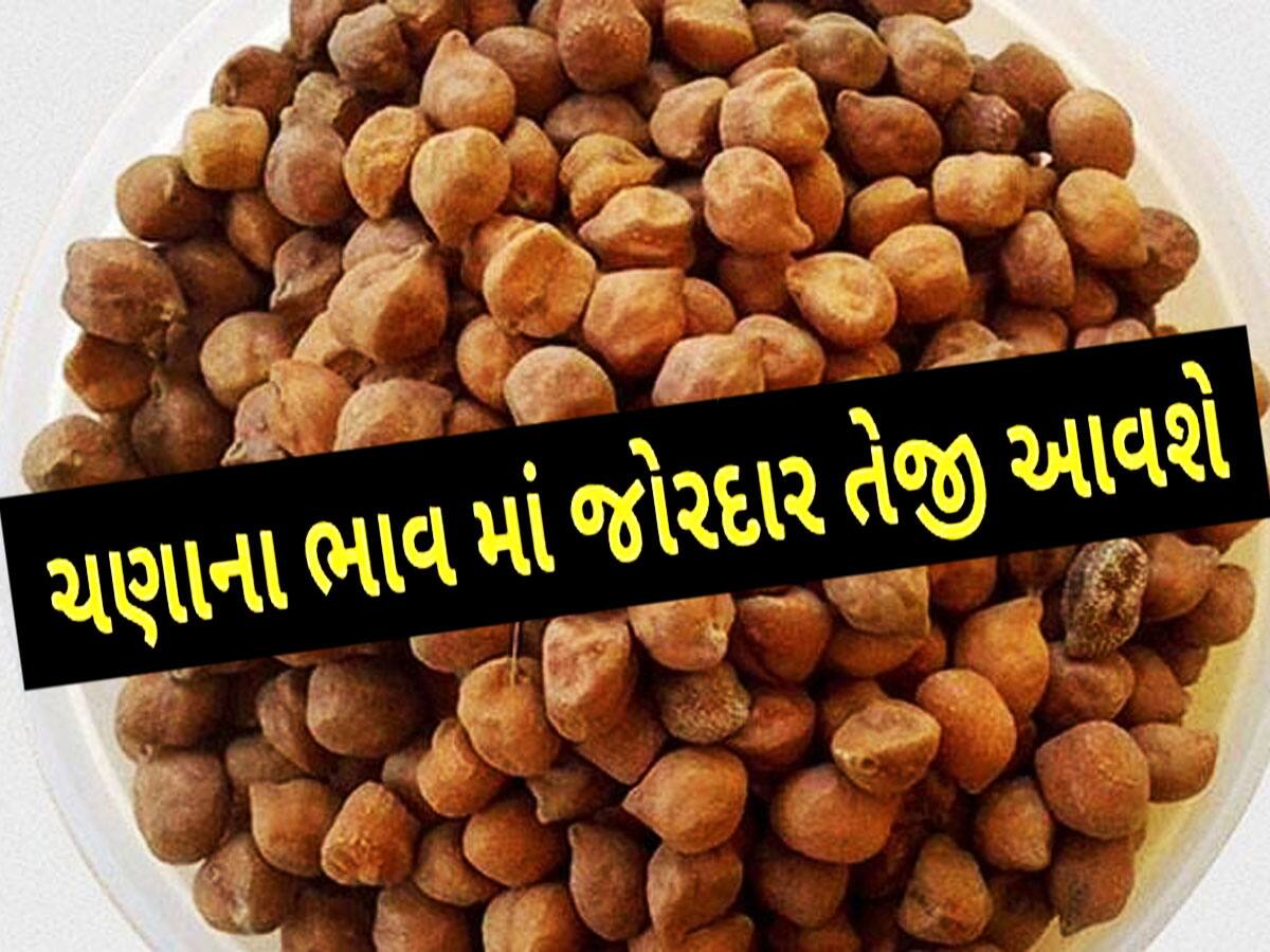 જીરું અને એરંડાનો સંગ્રહ કર્યો તો પસ્તાશો, નહીં મળે ભાવ: ચણાના ભાવમાં આવશે તેજી