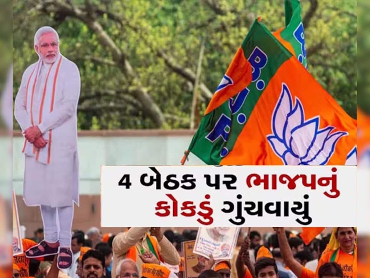 Loksabha Election 2024: ગુજરાતની 4 બેઠક પર કયા નામ રેસમાં સૌથી આગળ? આમને લાગી શકે છે લોટરી
