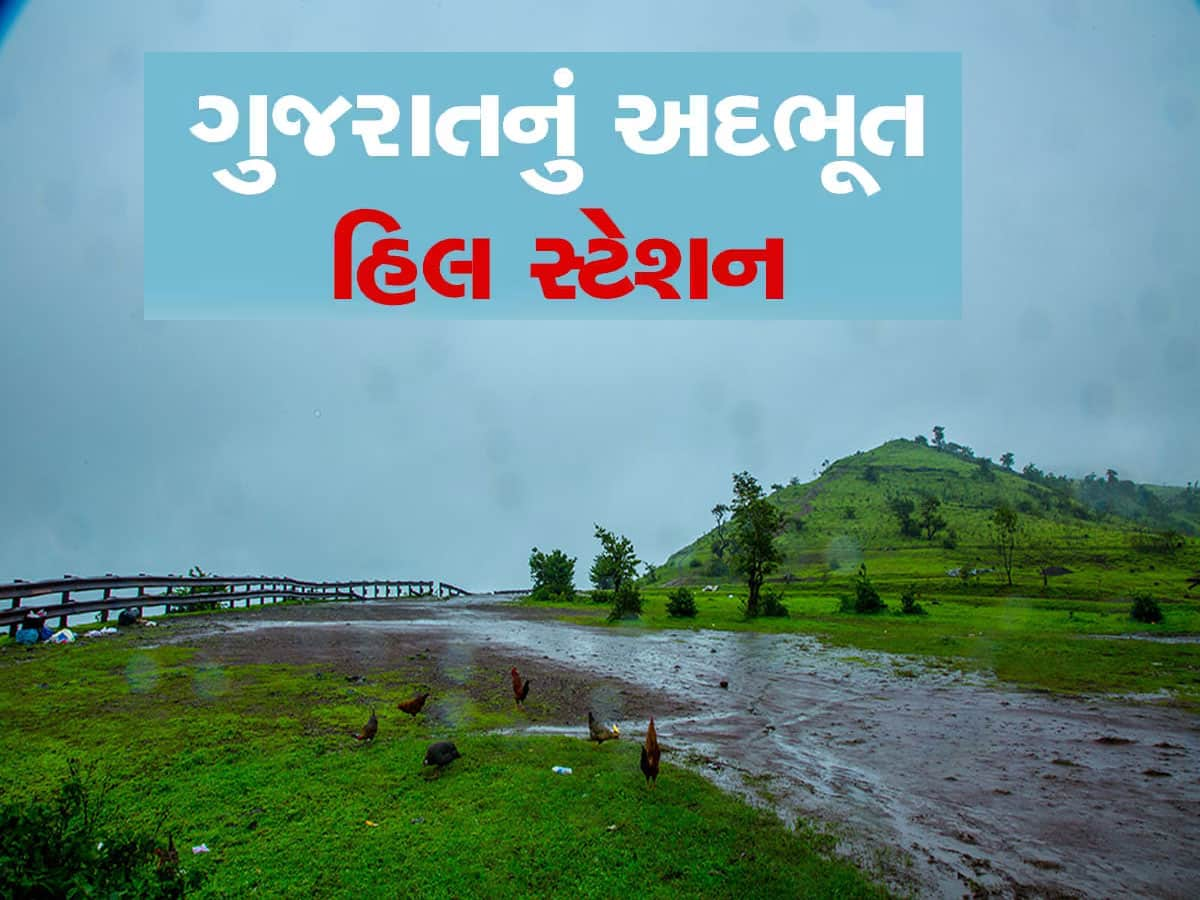 આબુ, ઊંટી પણ જેની આગળ પાણી ભરે તેવું ગજબનું છે ગુજરાતનું આ હિલ સ્ટેશન...જ્યાં સૂરજ રમે છે સંતાકૂકડી!