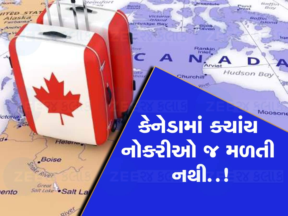 કેનેડામાં રોટલો ને ઓટલો નથી મળી રહ્યો, MBA દીકરી કોઈ રેસ્ટોરન્ટમાં કચરા-પોતા કરે છે 