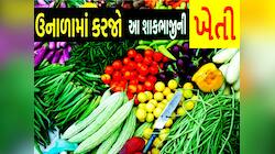 ઉનાળામાં આ 7 શાકભાજીની ખેતી 7 વર્ષ ચાલે એટલી કરાવશે કમાણી! જાણો કયા છે આ સુપરશાકભાજી