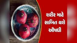 Pomegranate Peel:કચરો નહી કંચન છે દાડમની છાલ, ભુક્કો કરીને ફાકશો તો મળશે ગજબના ફાયદા