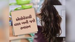 વાળનું સુરક્ષા કવચ છે એલોવેરા, ફાયદા જાણશો તો પાડોશીના ત્યાંથી તોડી લાવશો