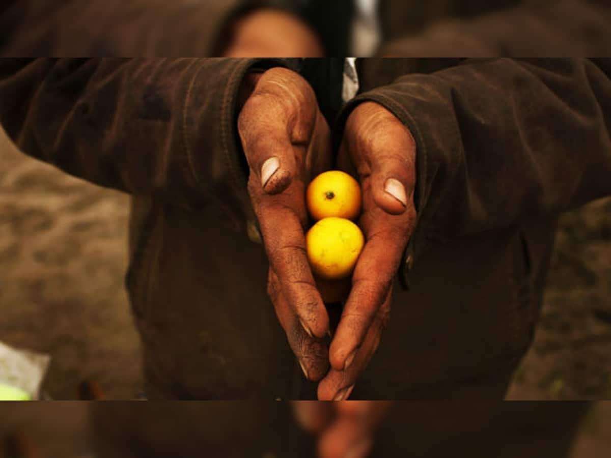 Lemon Auction: આ મંદિરમાં ધરેલા લીંબુનો રસ પીવાથી સંતાનપ્રાપ્ત થતું હોવાની છે માન્યતા, લીંબુ લેવા થાય પડાપડી