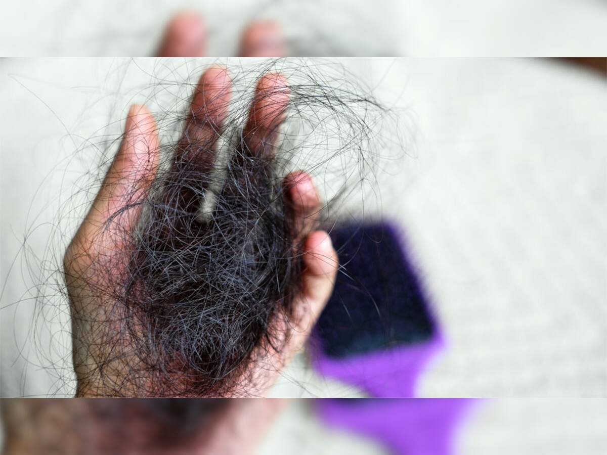 Hair Growth Tips: ઘરે બનાવેલી આ બાયોટીન રીચ સ્મુધિ પીવાથી ખરતા વાળની સમસ્યા થઈ જશે દુર, ટ્રાય કરો તમે પણ