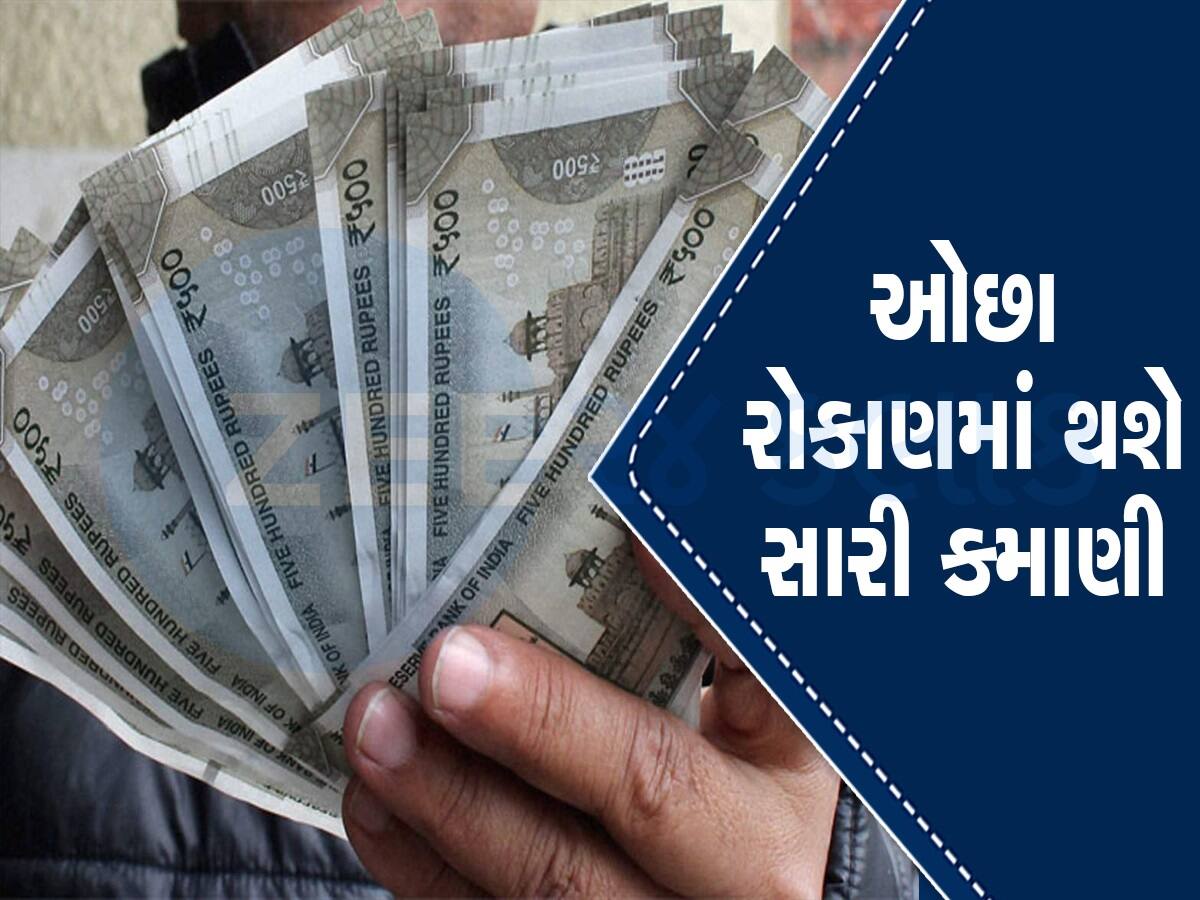 Business Idea: 10000 રૂપિયાથી શરૂ કરો આ સુપરહિટ બિઝનેસ, મહિને થશે મોટી કમાણી