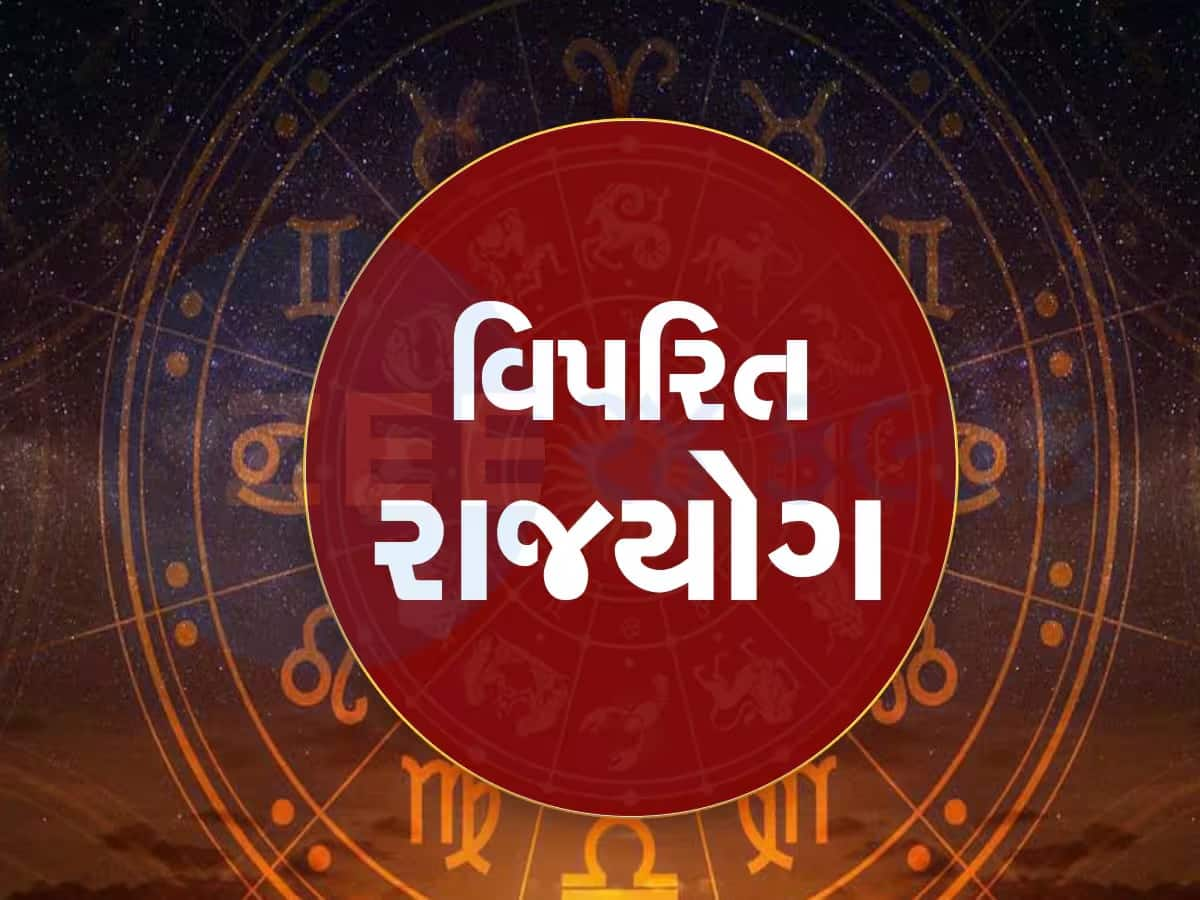 50 વર્ષ બાદ રાહુ અને શુક્રએ બનાવ્યો રાજયોગ, આ 3 જાતકોનું ભાગ્ય ચમકશે, દરેક ક્ષેત્રમાં મળશે સફળતા