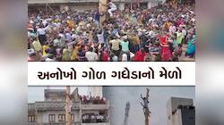 ગોળ ગધેડાનો મેળો ગુજરાતભરમાં પ્રખ્યાત; મનપસંદ યુવતીને પામવા યુવકો બને છે 'ગધેડો'