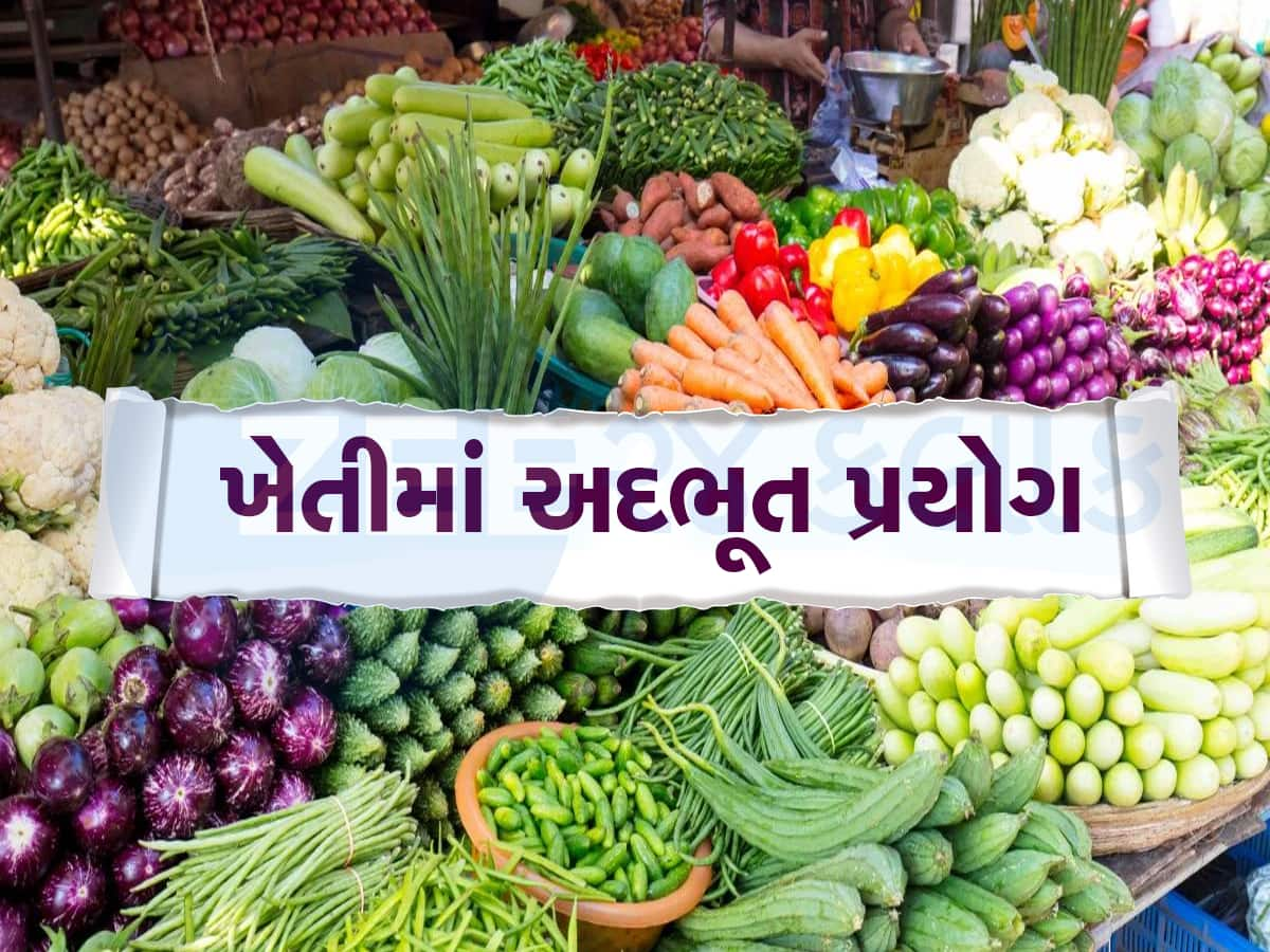 ખેડૂતે એક જ ઝાડ પર ઉગાડી 5 પ્રકારની શાકભાજી, ટ્રેનિંગ લઇને આવકમાં કર્યો ધરખમ વધારો