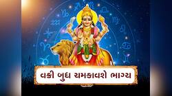 2 એપ્રિલથી જગમગાશે મિથુન-મીન સહિત આ 5 રાશિઓનું ભાગ્ય, વક્રી બુધ કરાવશે ધનલાભ